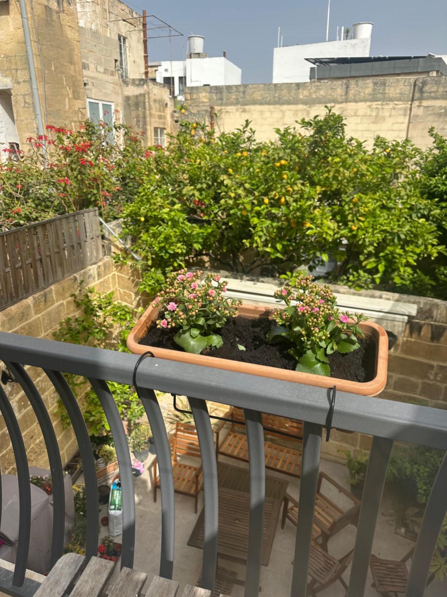 Apartamento Iris -paola Modern Townhouse Paola